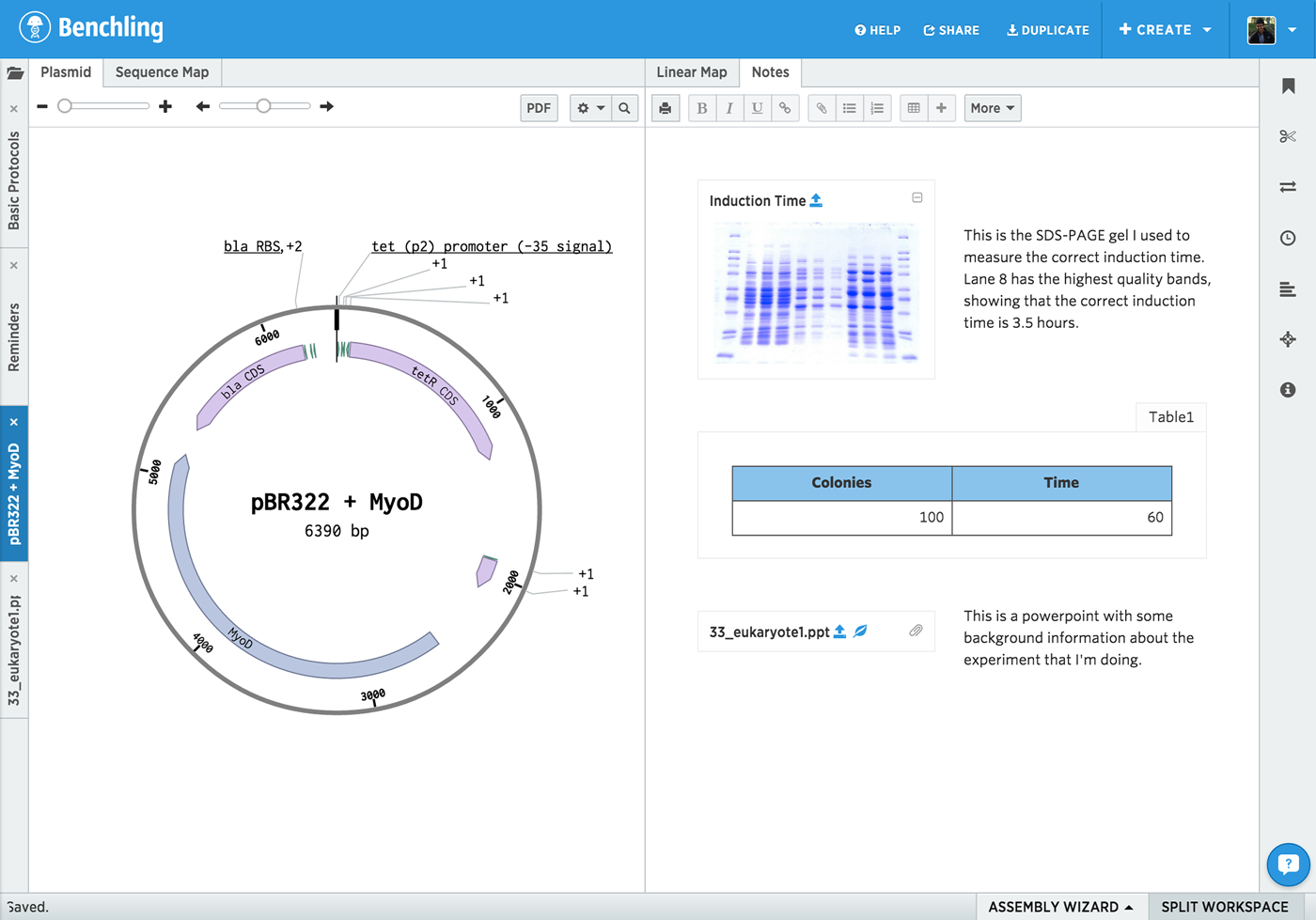 Benchling · Better tools, faster research