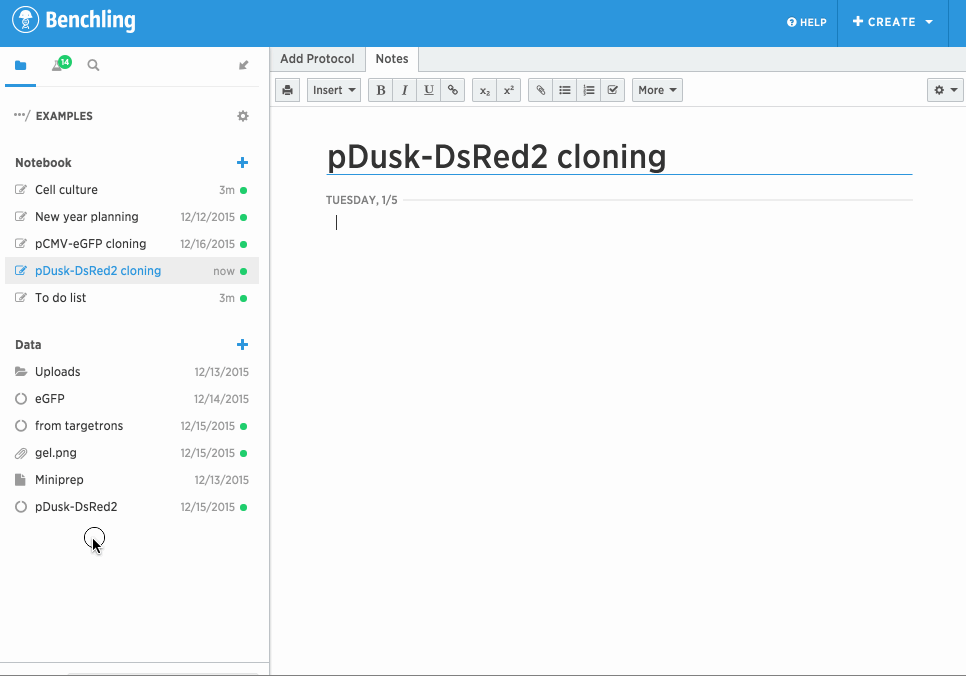 Lab Notebook · Benchling